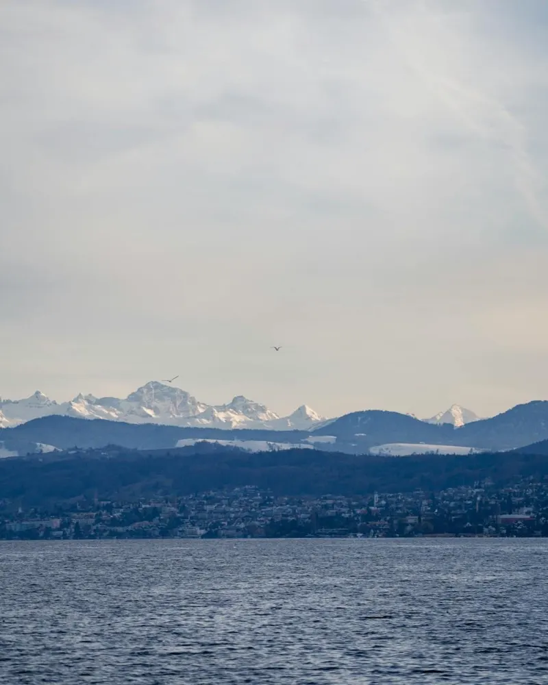 The Alps