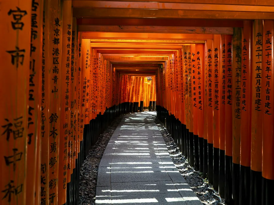 An empty stone path through the orange torii gates of Fushimi Inari Shrine