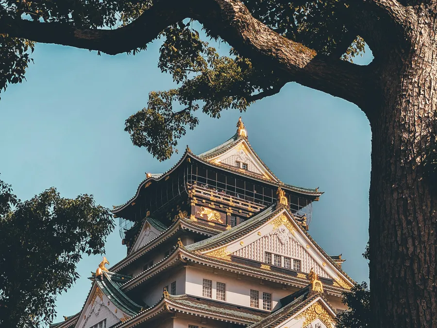 The gilded upper tiers of Osaka Castle seen from below through tree branches
