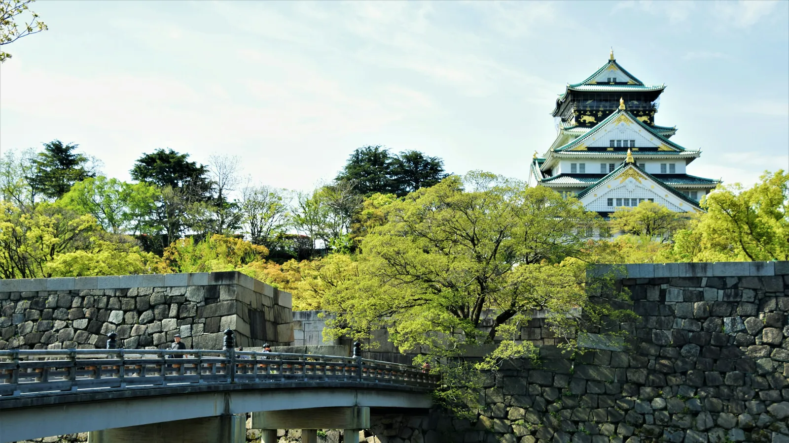 Osaka Castle's white-and-gold keep rising above spring-green trees and its stone moat wall