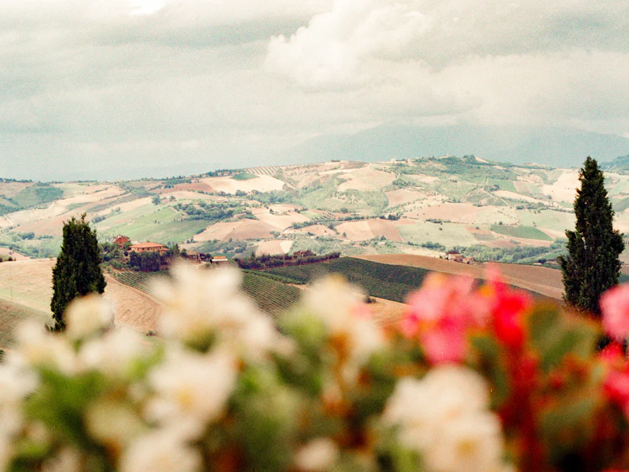 Rolling hills and cypress trees in the Tuscan countryside