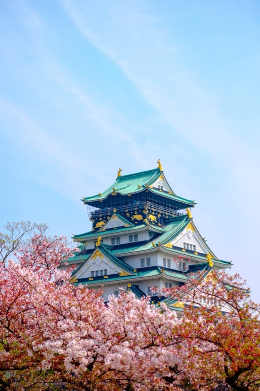 Ultimate Osaka Tour in Osaka