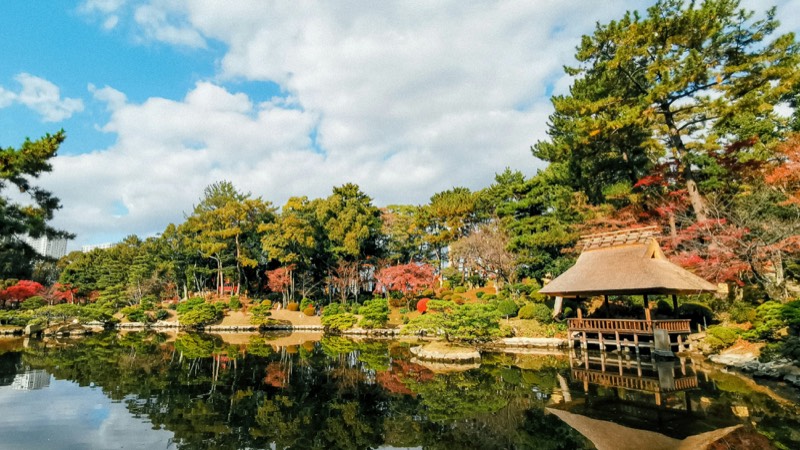 Hiroshima Highlights Tour in Hiroshima