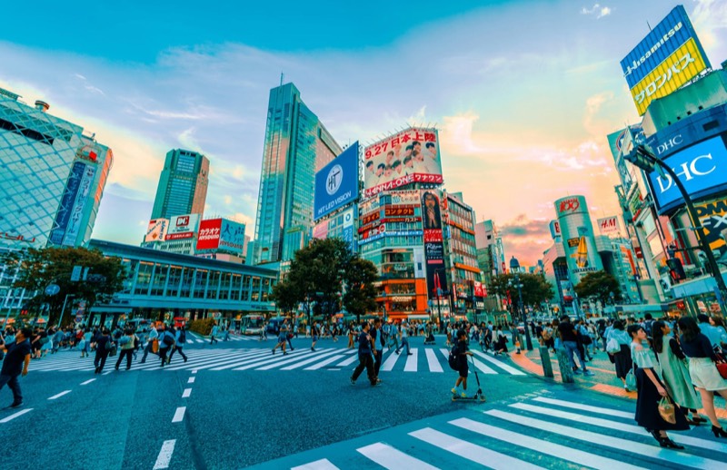 Diverse Tokyo Discovery: Meiji Shrine, Harajuku & Shibuya in Tokyo