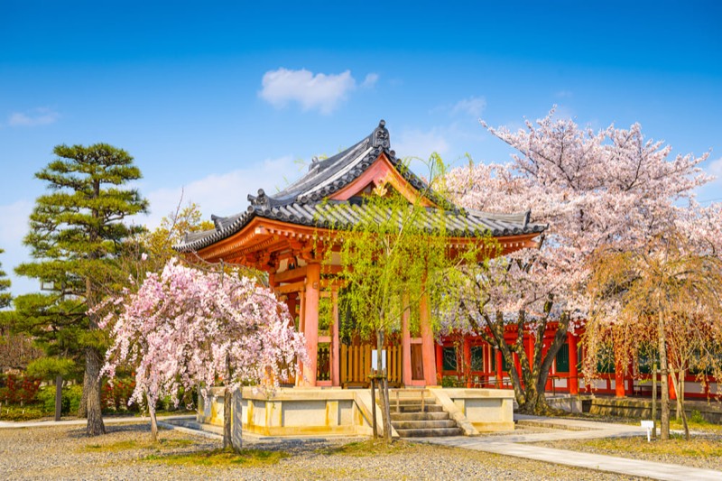 Fushimi Inari Shrine & Sanjusangendo Temple Discovery in Kyoto