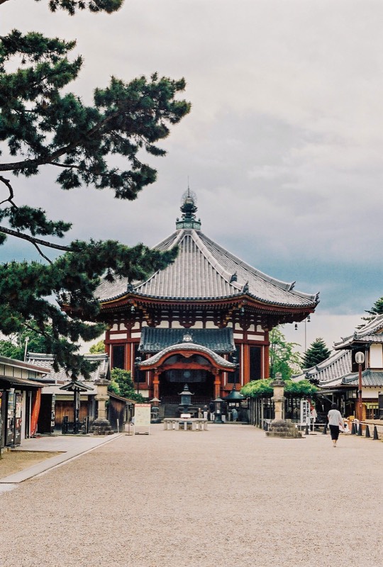 Explore Nara Tour in Kyoto