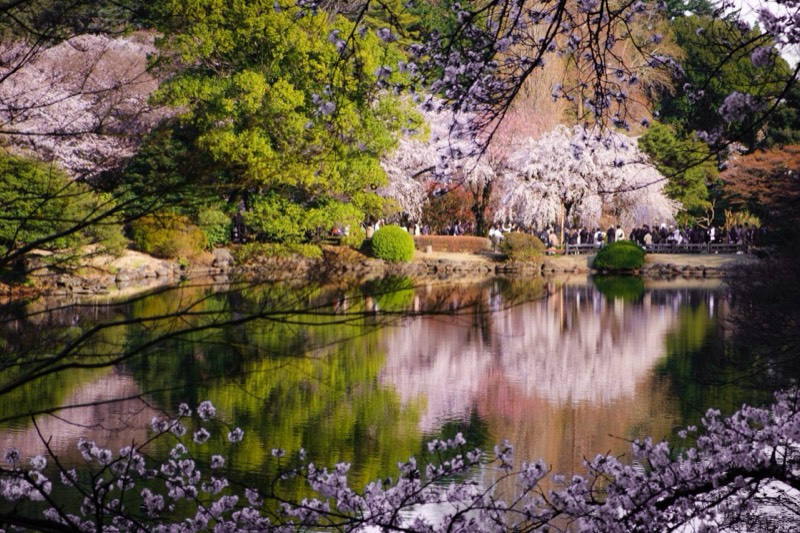 The Royal Tombs of Daereungwon Park in Gyeongju