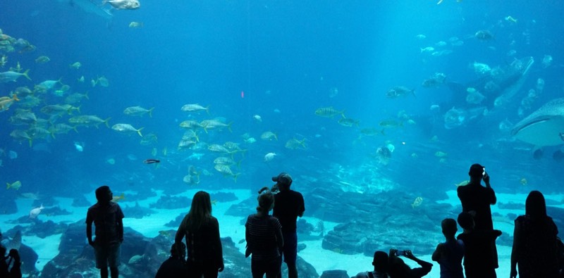 Sea Life Busan Aquarium in Busan