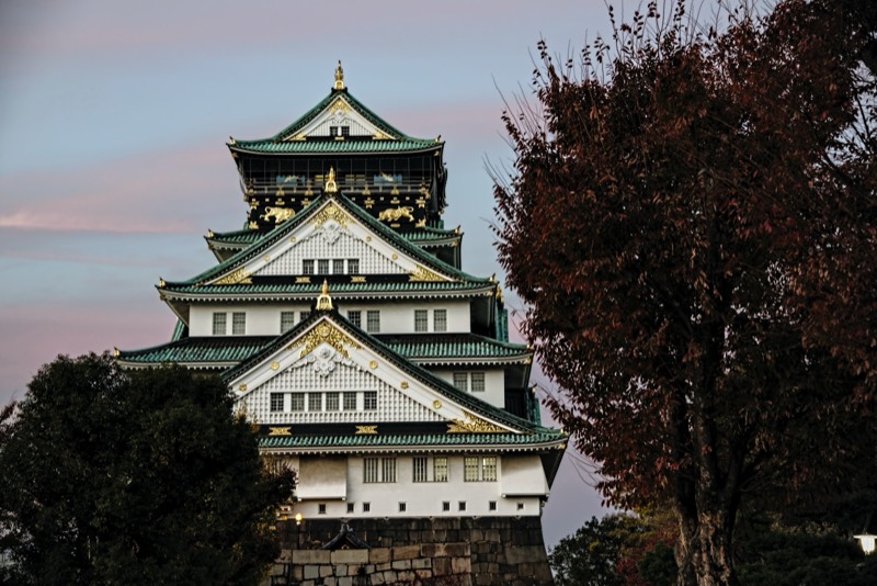 Explore Osaka Tour in Kyoto